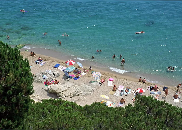 Estrella De Mar Youth *